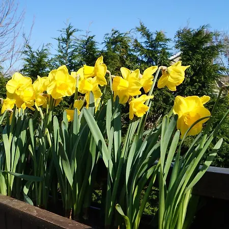 Ardrinane House Bed & Breakfast