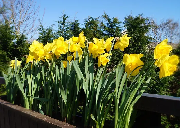 Ardrinane House Couette-café